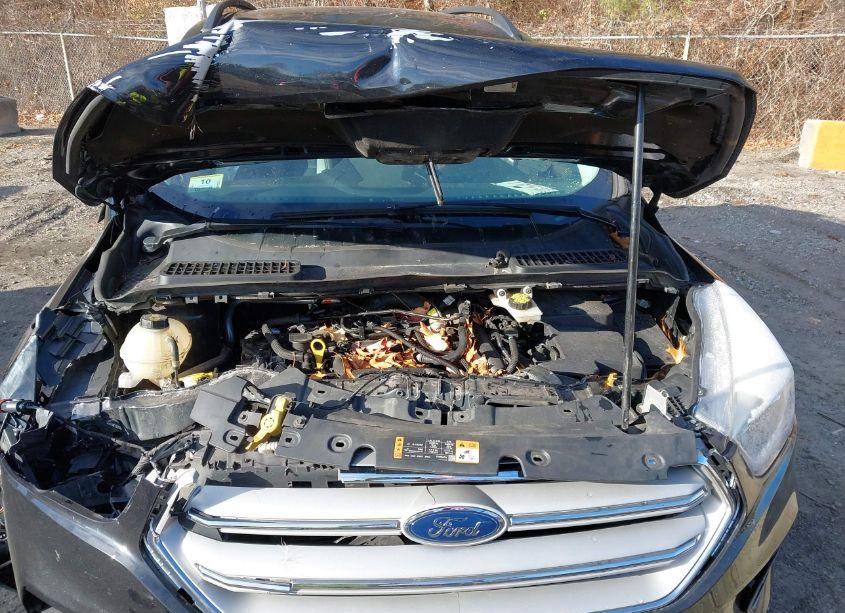 Photo 10 of 2019 Ford Escape SEL (VIN 1FMCU9HD1KUB41521)