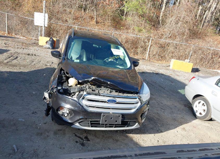 Photo 12 of 2019 Ford Escape SEL (VIN 1FMCU9HD1KUB41521)