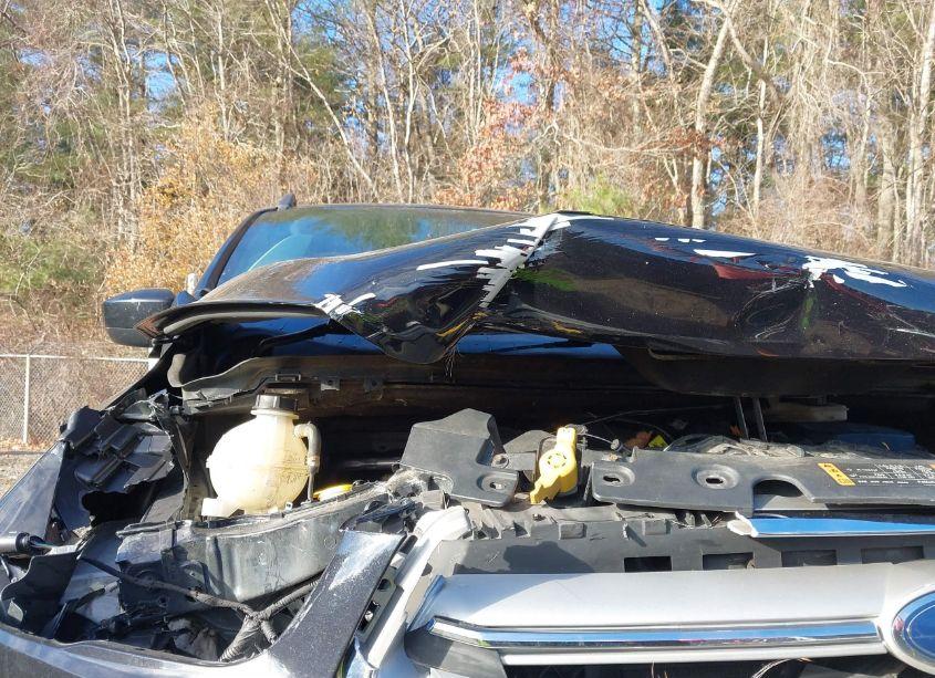 Photo 18 of 2019 Ford Escape SEL (VIN 1FMCU9HD1KUB41521)