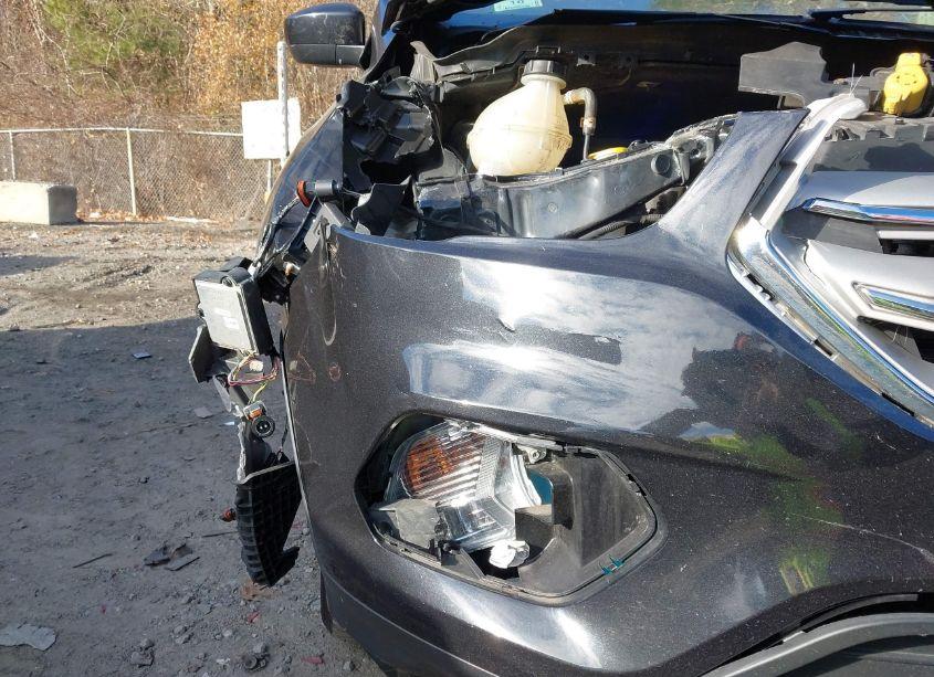 Photo 19 of 2019 Ford Escape SEL (VIN 1FMCU9HD1KUB41521)