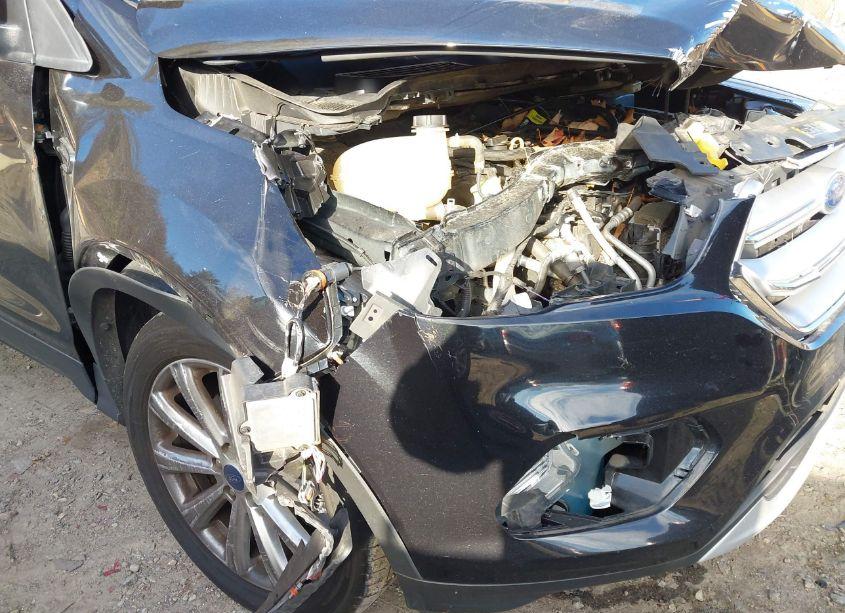 Photo 6 of 2019 Ford Escape SEL (VIN 1FMCU9HD1KUB41521)