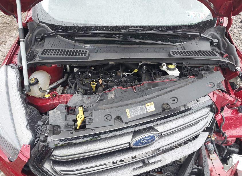 Photo 10 of 2019 Ford Escape SEL (VIN 1FMCU9HD1KUB51319)