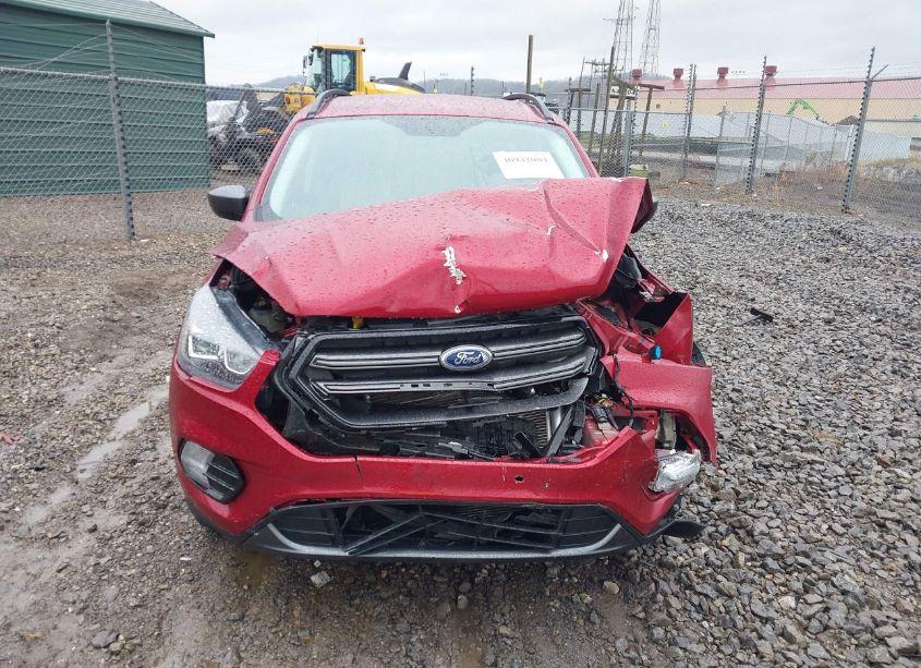 Photo 12 of 2019 Ford Escape SEL (VIN 1FMCU9HD1KUB51319)