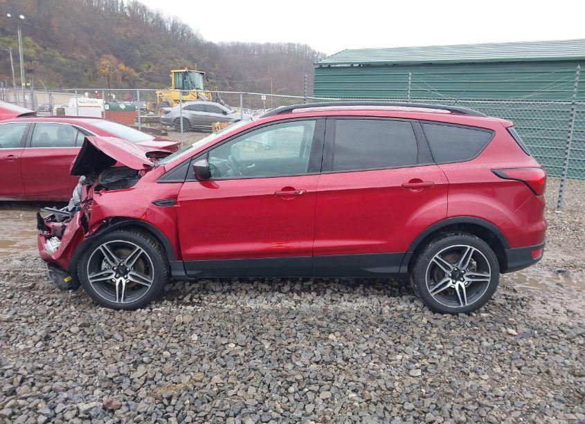 Photo 14 of 2019 Ford Escape SEL (VIN 1FMCU9HD1KUB51319)