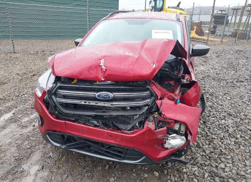 Photo 6 of 2019 Ford Escape SEL (VIN 1FMCU9HD1KUB51319)