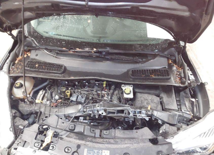 Photo 10 of 2019 Ford Escape SEL (VIN 1FMCU9HD2KUA61774)