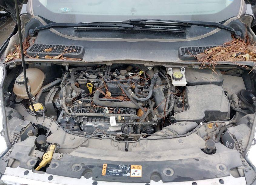 Photo 10 of 2019 Ford Escape SEL (VIN 1FMCU9HD3KUB16250)