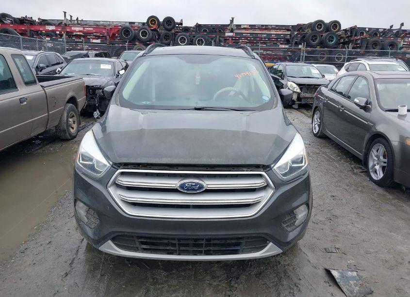 Photo 12 of 2019 Ford Escape SEL (VIN 1FMCU9HD3KUB16250)
