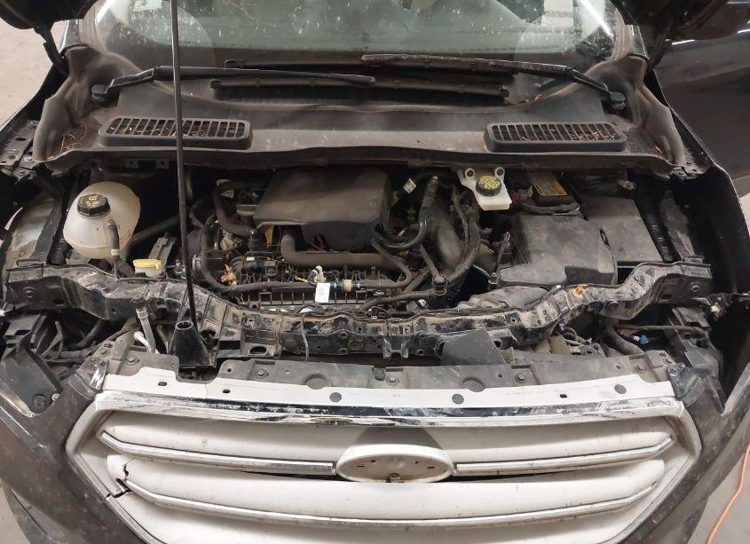 Photo 10 of 2019 Ford Escape SEL (VIN 1FMCU9HD3KUC30216)