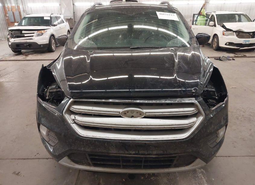 Photo 13 of 2019 Ford Escape SEL (VIN 1FMCU9HD3KUC30216)