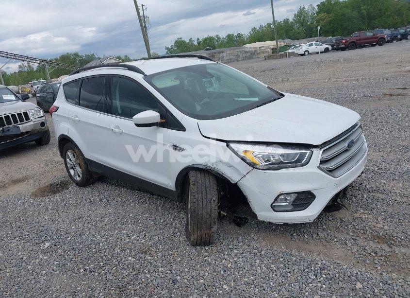 2019 Ford Escape SEL (VIN 1FMCU9HD4KUA88085) main photo