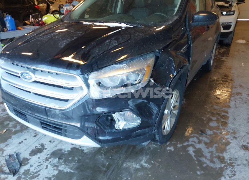 Photo 6 of 2019 Ford Escape SEL (VIN 1FMCU9HD4KUB56336)