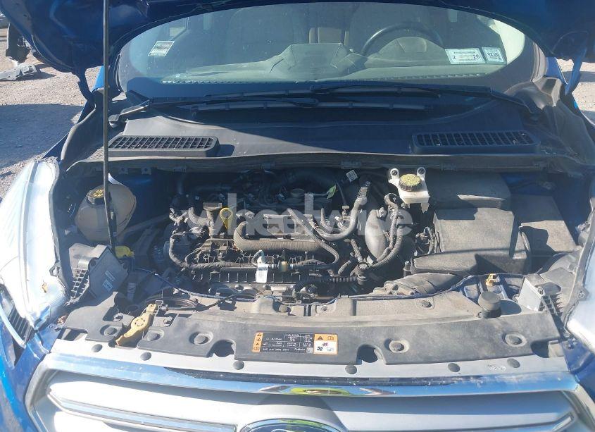 Photo 10 of 2019 Ford Escape SEL (VIN 1FMCU9HD4KUC31939)
