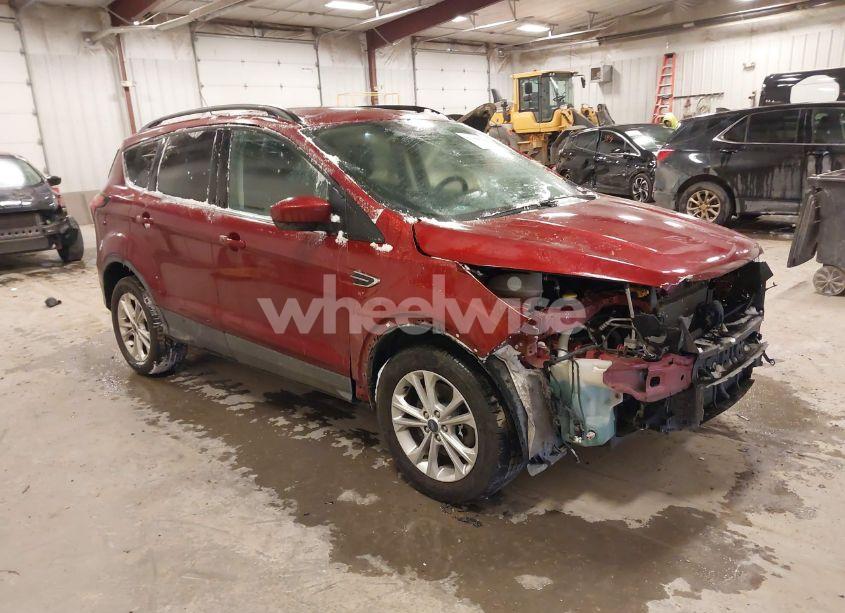 2019 Ford Escape SEL (VIN 1FMCU9HD5KUA04467) main photo