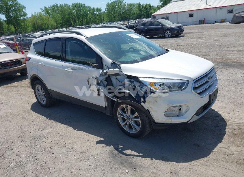 2019 Ford Escape SEL (VIN 1FMCU9HD5KUB19019) main photo