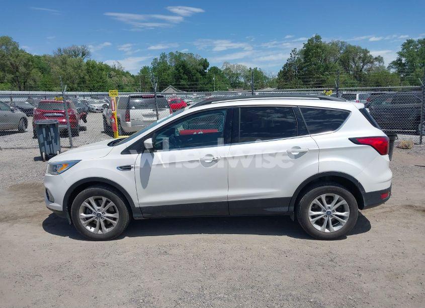 Photo 15 of 2019 Ford Escape SEL (VIN 1FMCU9HD5KUB19019)