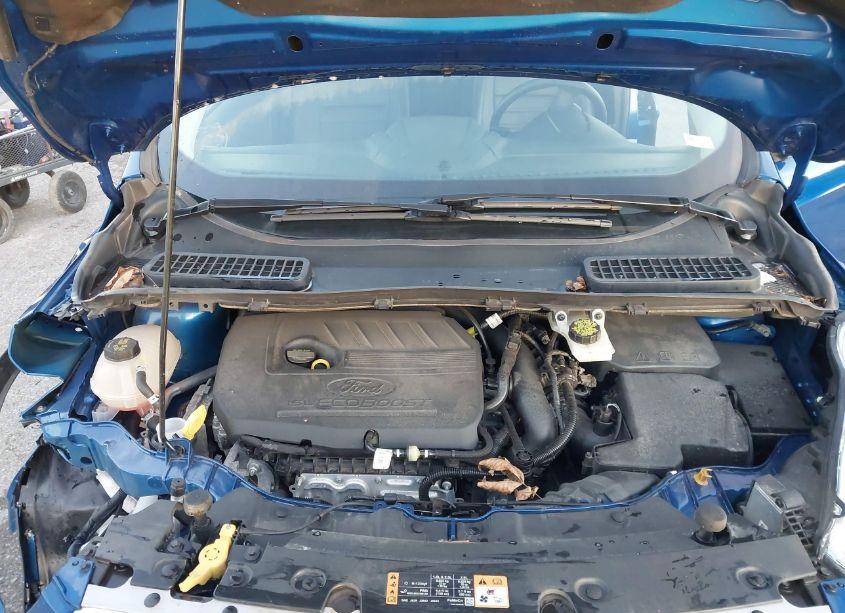 Photo 10 of 2018 Ford Escape SEL (VIN 1FMCU9HD6JUB87554)