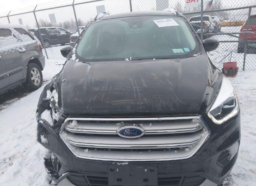 Photo 13 of 2019 Ford Escape SEL (VIN 1FMCU9HD6KUB42874)