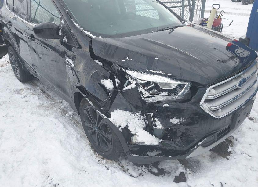 Photo 6 of 2019 Ford Escape SEL (VIN 1FMCU9HD6KUB42874)