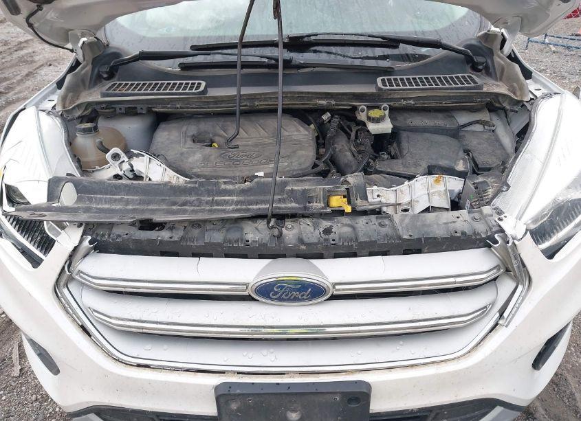 Photo 10 of 2018 Ford Escape SEL (VIN 1FMCU9HD7JUA80836)