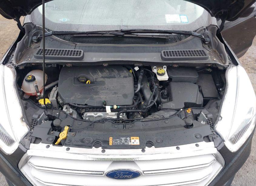 Photo 10 of 2018 Ford Escape SEL (VIN 1FMCU9HD7JUC45896)