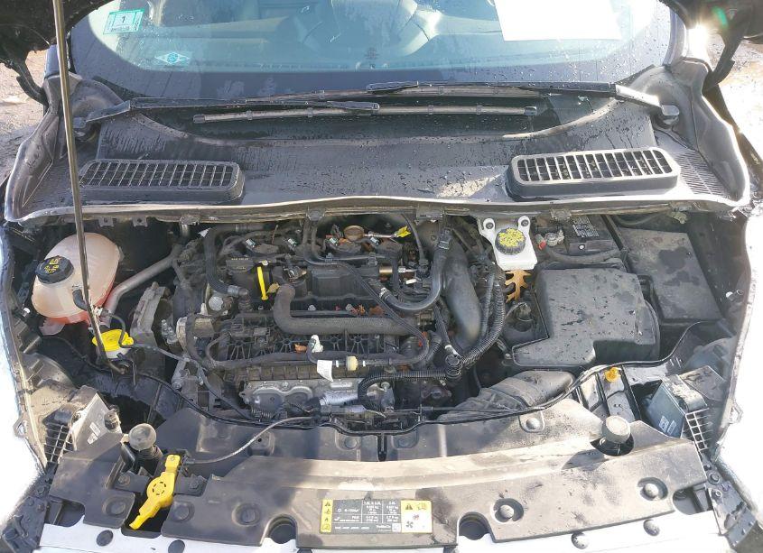 Photo 10 of 2019 Ford Escape SEL (VIN 1FMCU9HD7KUA08438)