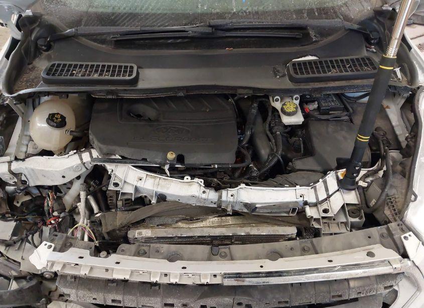 Photo 10 of 2018 Ford Escape SEL (VIN 1FMCU9HD8JUB21538)