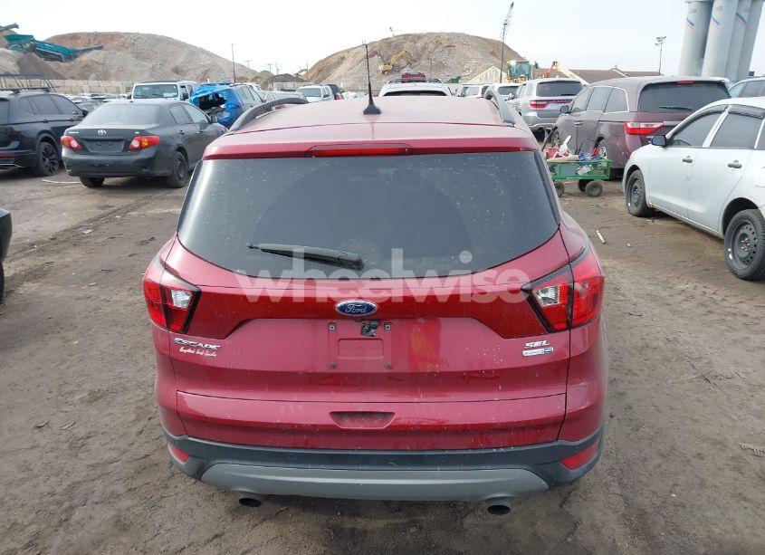 Photo 16 of 2019 Ford Escape SEL (VIN 1FMCU9HD8KUA09033)