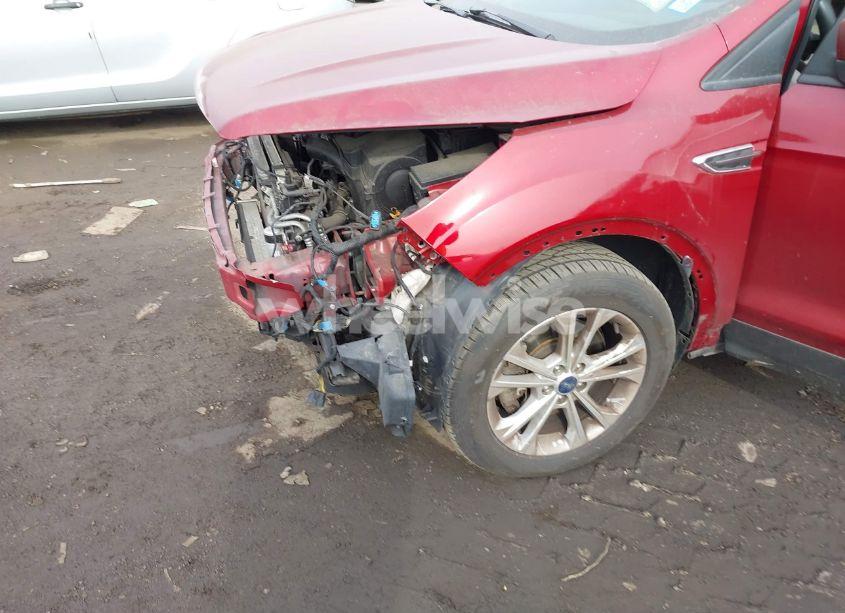 Photo 18 of 2019 Ford Escape SEL (VIN 1FMCU9HD8KUA09033)