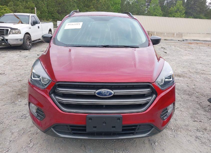 Photo 12 of 2019 Ford Escape SEL (VIN 1FMCU9HD8KUB18768)