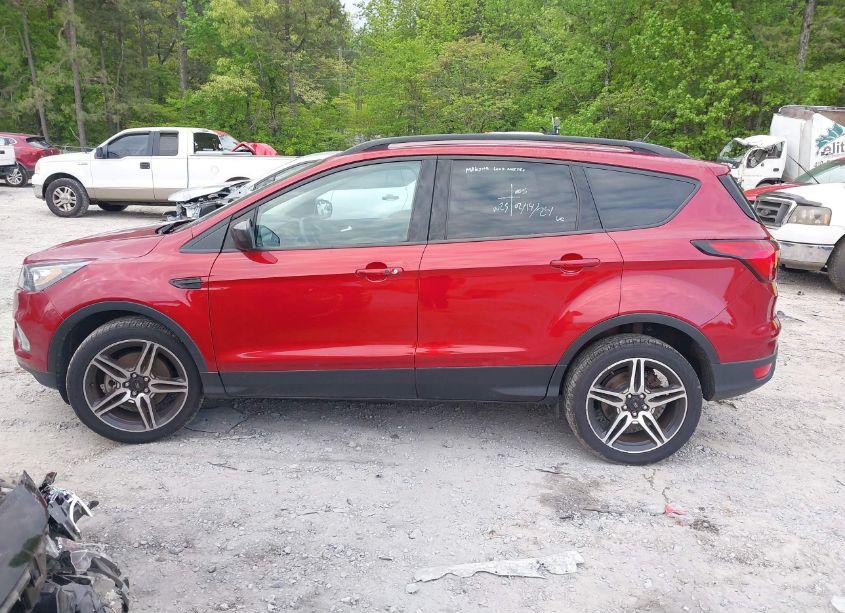 Photo 14 of 2019 Ford Escape SEL (VIN 1FMCU9HD8KUB18768)