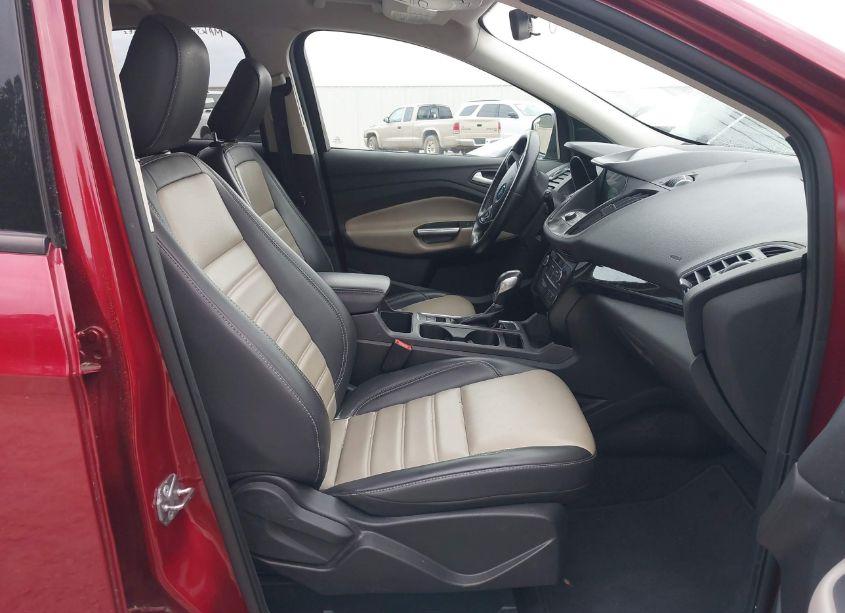 Photo 5 of 2019 Ford Escape SEL (VIN 1FMCU9HD8KUB18768)