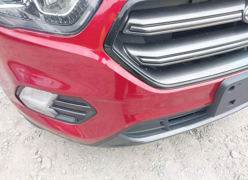 Photo 6 of 2019 Ford Escape SEL (VIN 1FMCU9HD8KUB18768)