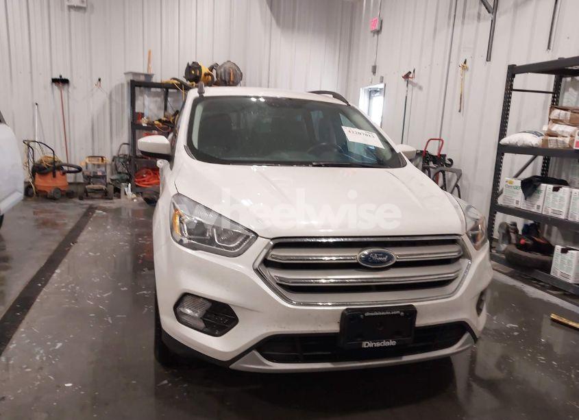 Photo 12 of 2019 Ford Escape SEL (VIN 1FMCU9HD8KUC30146)