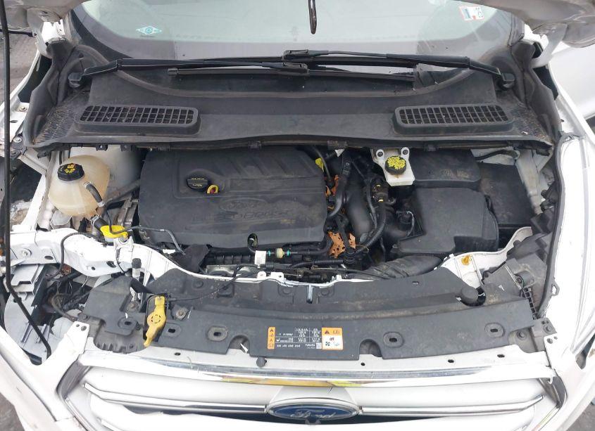 Photo 10 of 2018 Ford Escape SEL (VIN 1FMCU9HD9JUB50112)