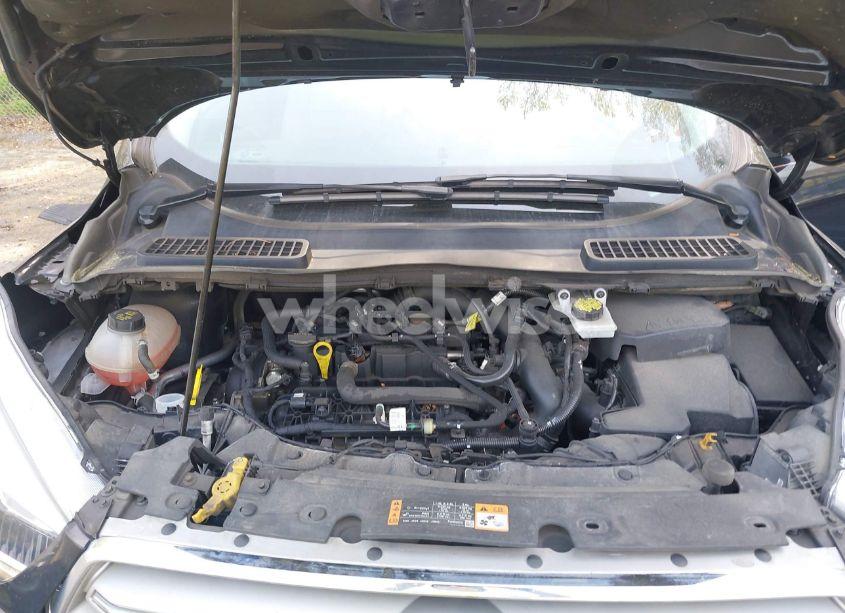 Photo 10 of 2019 Ford Escape SEL (VIN 1FMCU9HD9KUB14177)