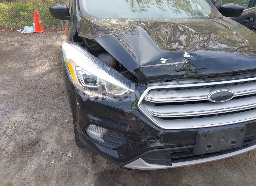 Photo 6 of 2019 Ford Escape SEL (VIN 1FMCU9HD9KUB14177)