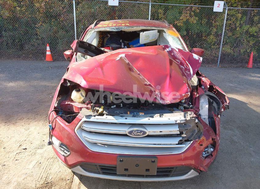 Photo 11 of 2019 Ford Escape SEL (VIN 1FMCU9HD9KUB77134)