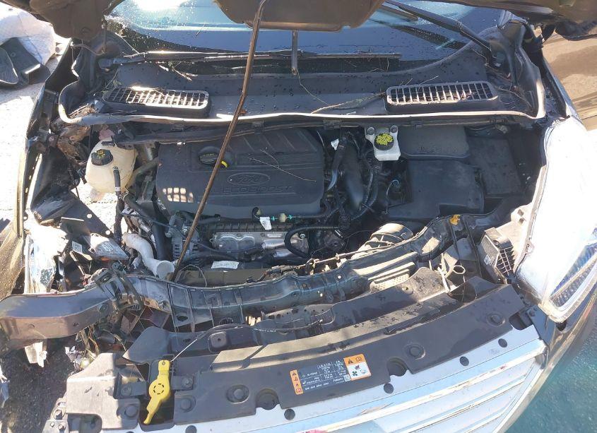 Photo 10 of 2018 Ford Escape SEL (VIN 1FMCU9HDXJUD61495)