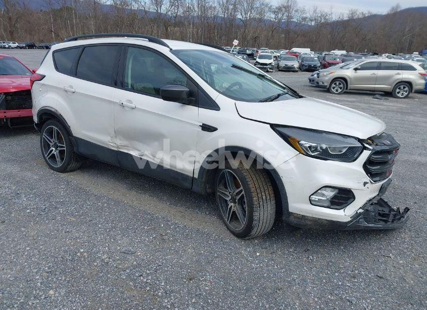 2019 Ford Escape SEL (VIN 1FMCU9HDXKUA37321) main photo