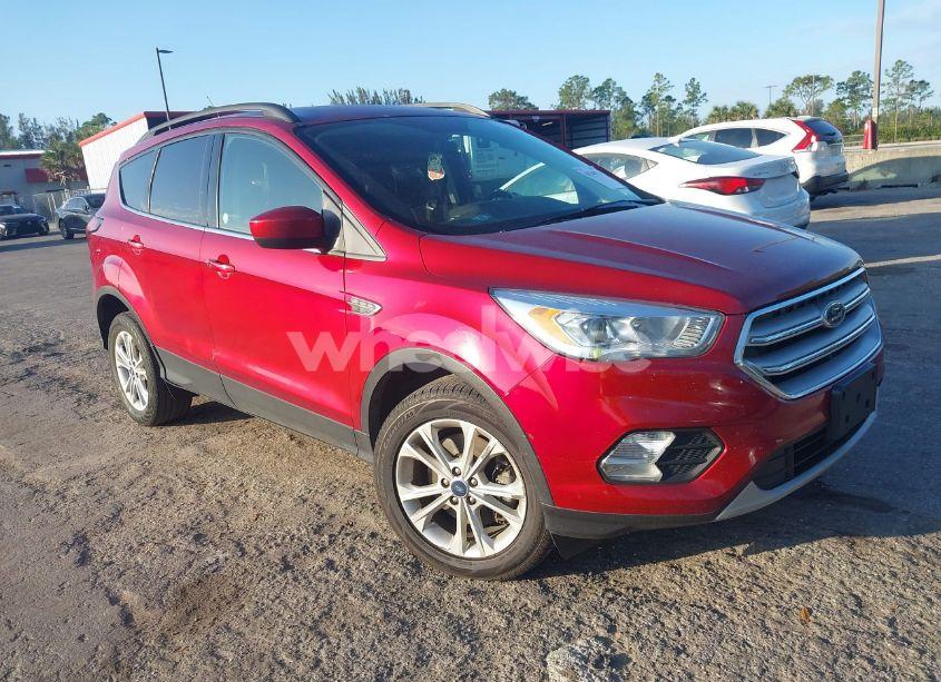 2019 Ford Escape SEL (VIN 1FMCU9HDXKUA60016) main photo