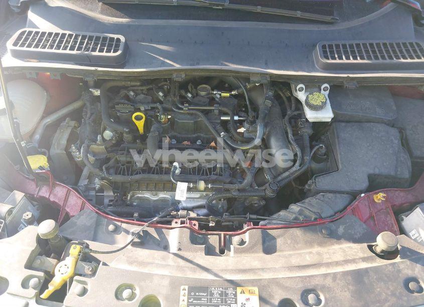 Photo 10 of 2019 Ford Escape SEL (VIN 1FMCU9HDXKUA60016)