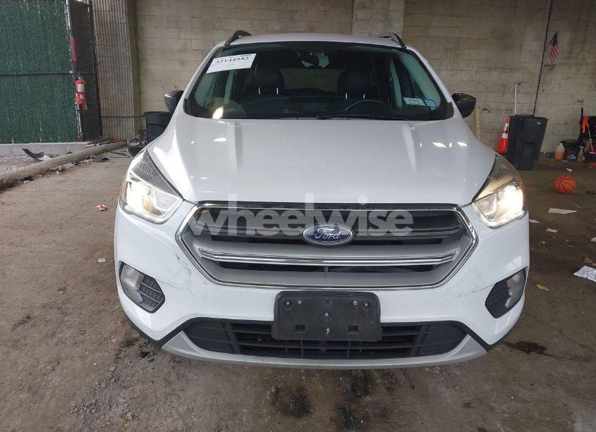 Photo 13 of 2019 Ford Escape SEL (VIN 1FMCU9HDXKUB41937)