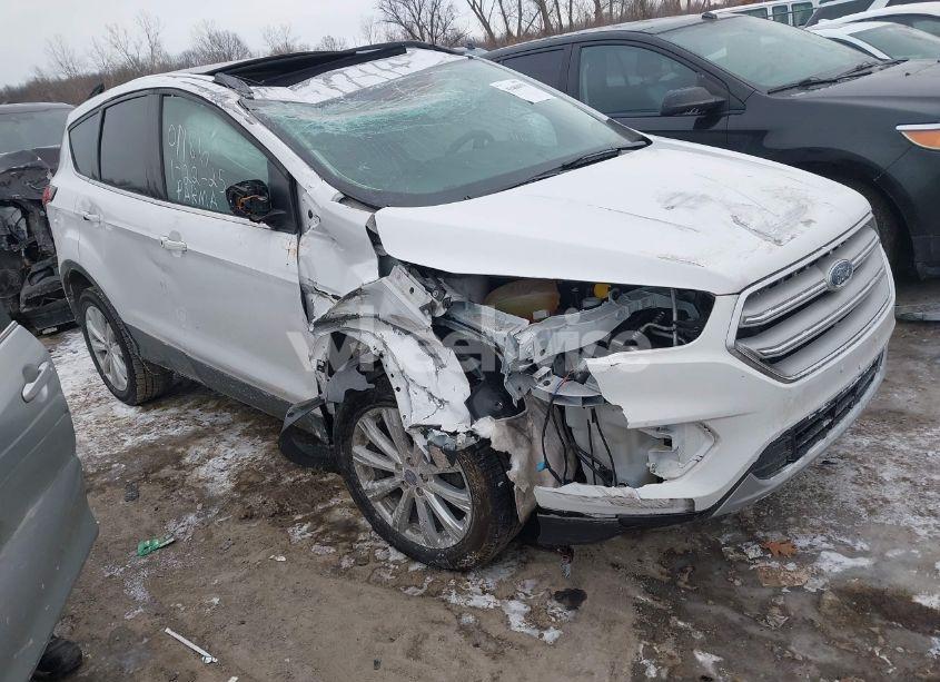 2019 Ford Escape SEL (VIN 1FMCU9HDXKUB51786) main photo