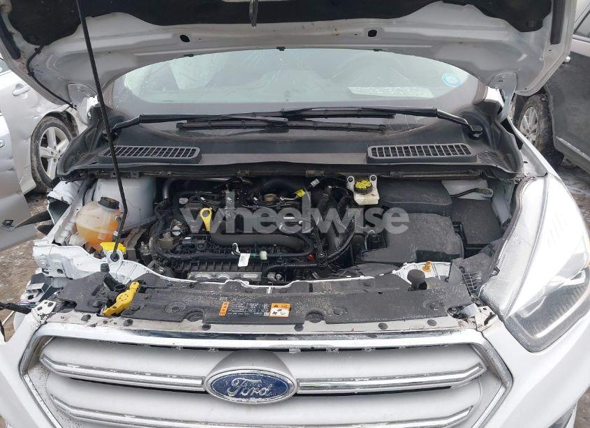 Photo 10 of 2019 Ford Escape SEL (VIN 1FMCU9HDXKUB51786)