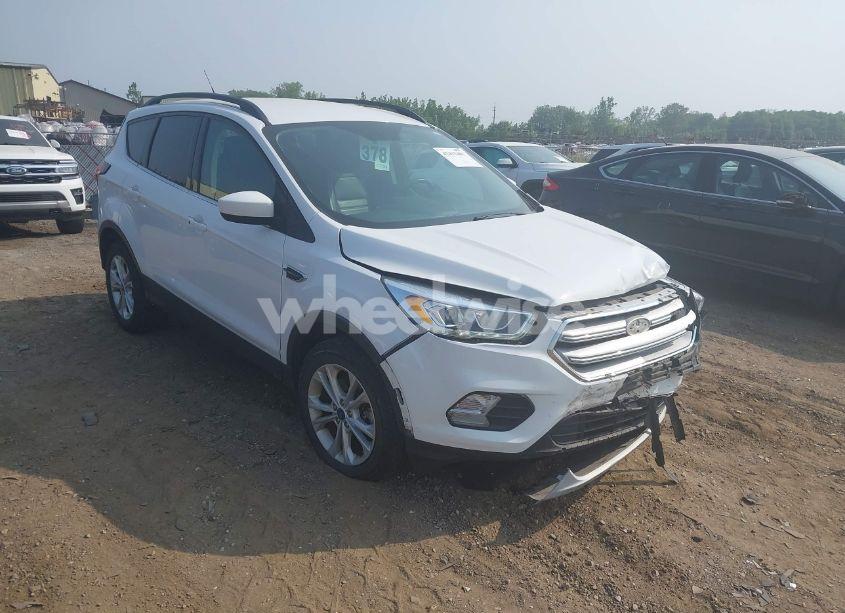2019 Ford Escape SEL (VIN 1FMCU9HDXKUC00243) main photo
