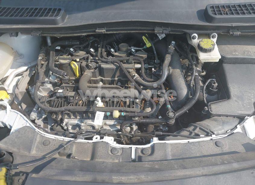 Photo 10 of 2019 Ford Escape SEL (VIN 1FMCU9HDXKUC00243)