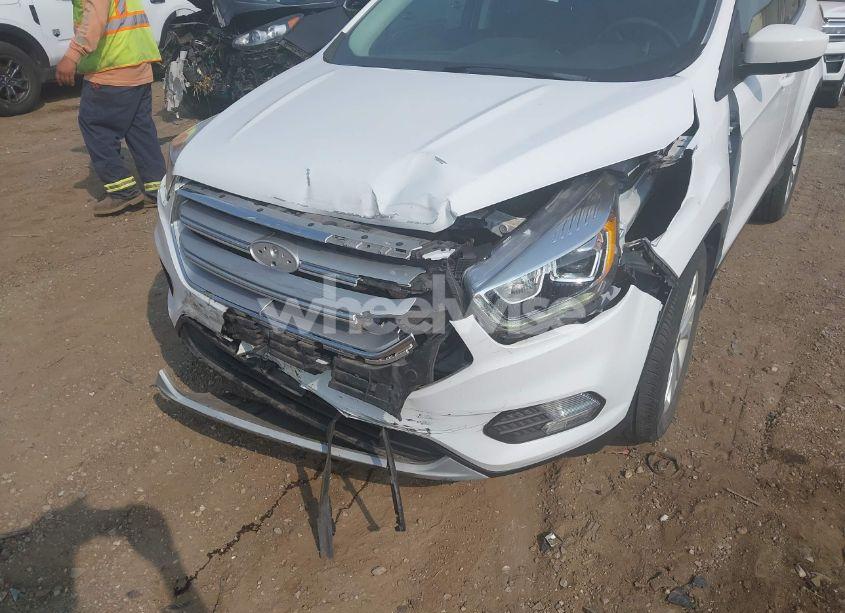 Photo 6 of 2019 Ford Escape SEL (VIN 1FMCU9HDXKUC00243)