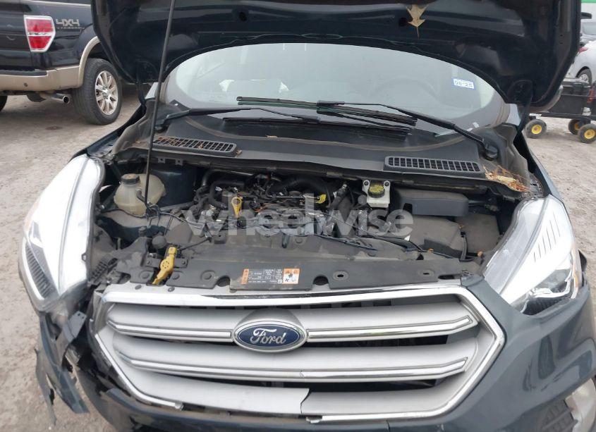 Photo 10 of 2019 Ford Escape SEL (VIN 1FMCU9HDXKUC01456)