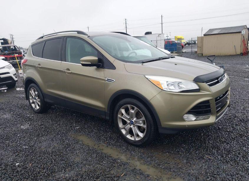 2013 Ford Escape SEL (VIN 1FMCU9HX0DUA01490) main photo